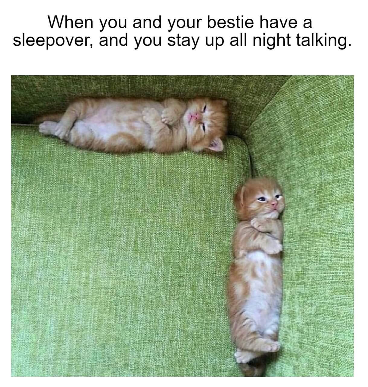 Ownmates Post
