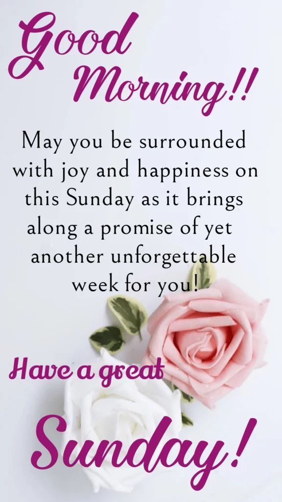 Happy Sunday!