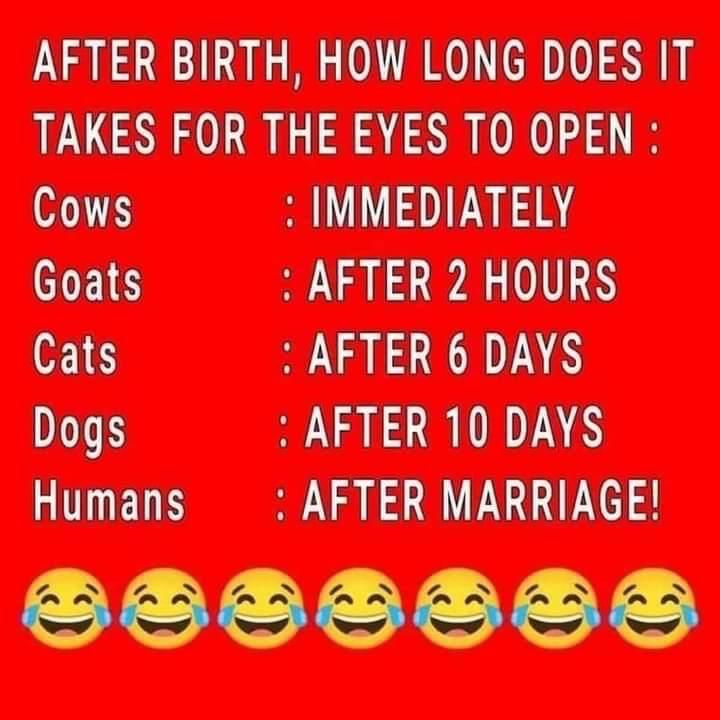 Ownmates Post