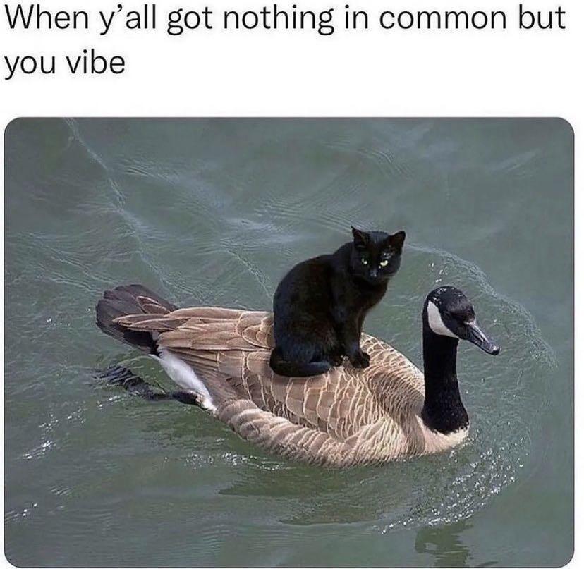 Ownmates Post