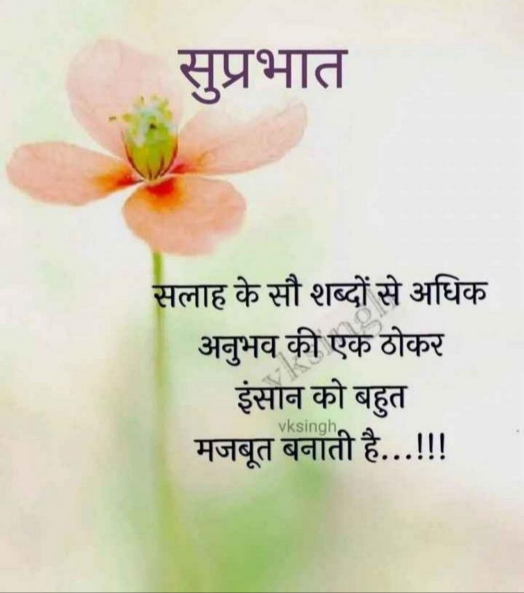 #Good_morning friends💐💐💐💐