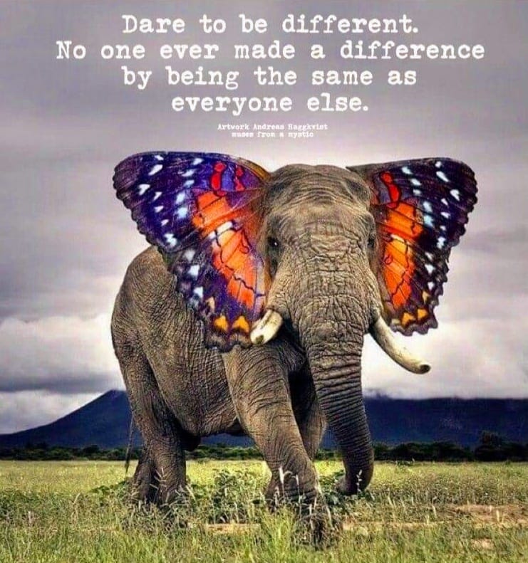 Good Morning!