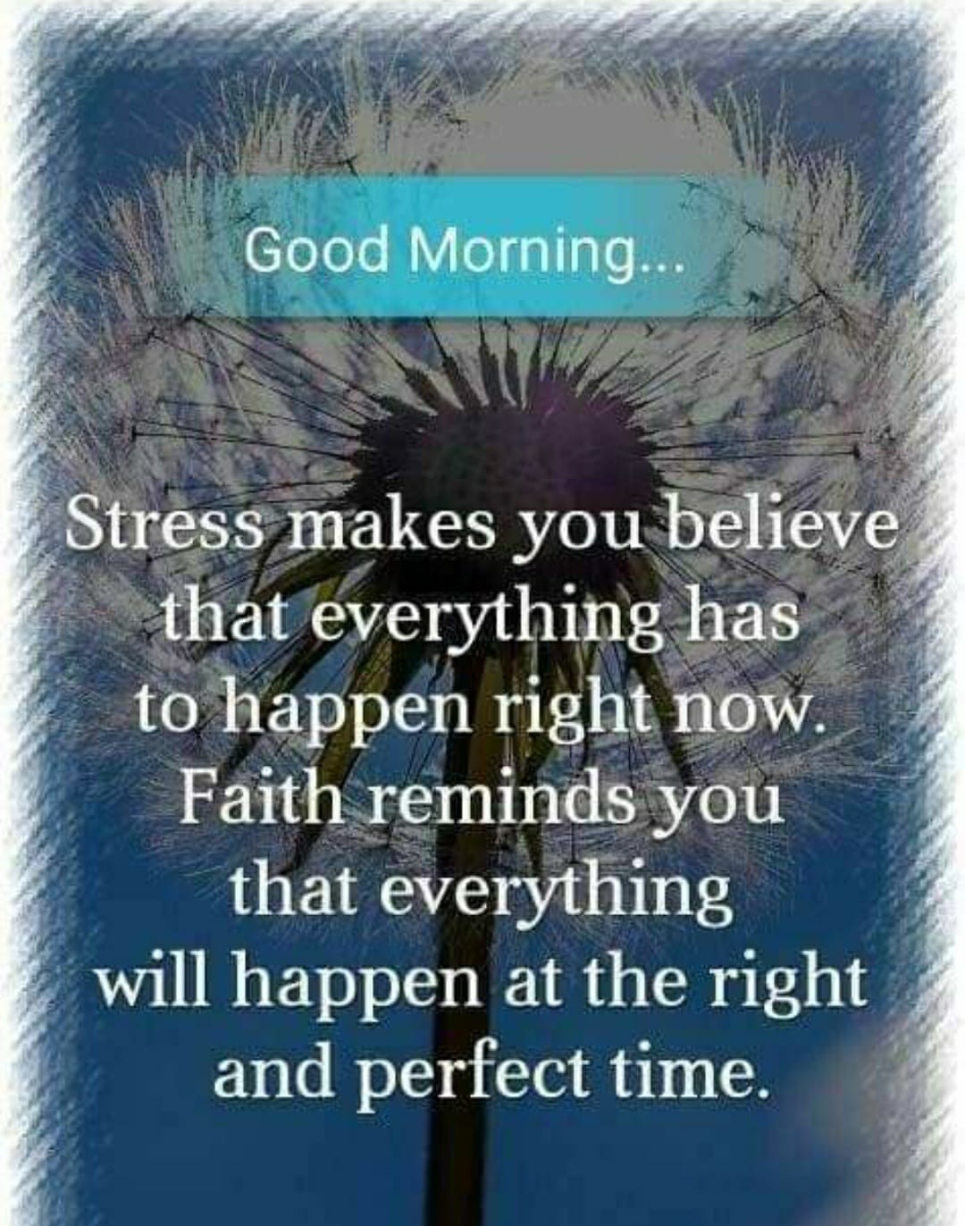 have a stress-free day!