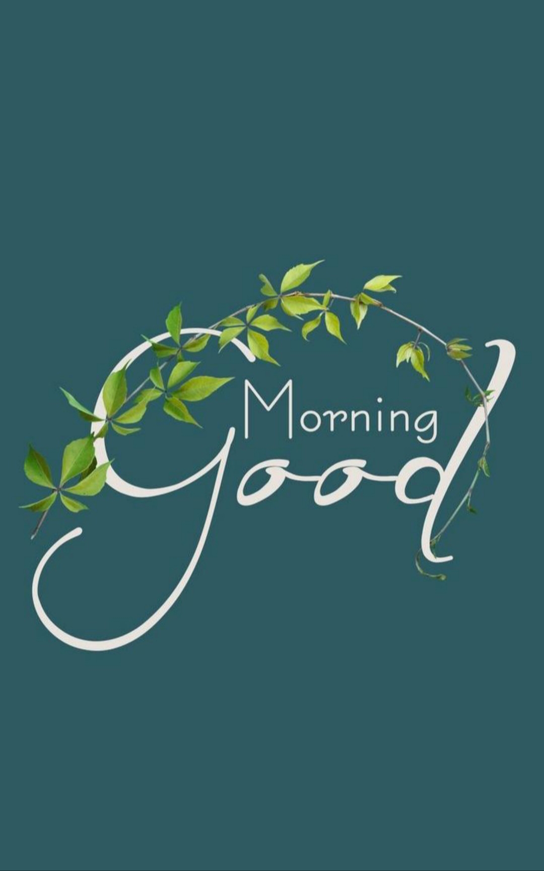 Good morning Dear friends 💐💐