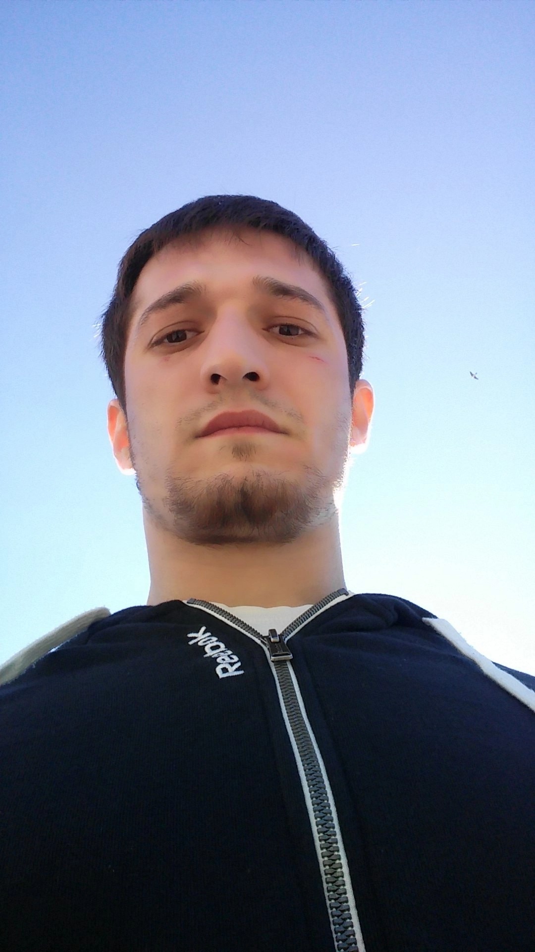 User
