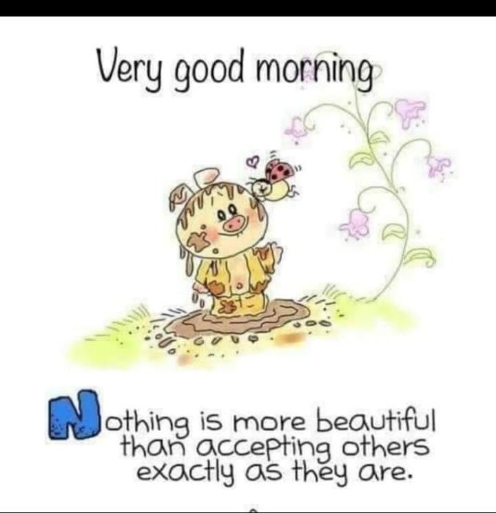 Happy Sunday!