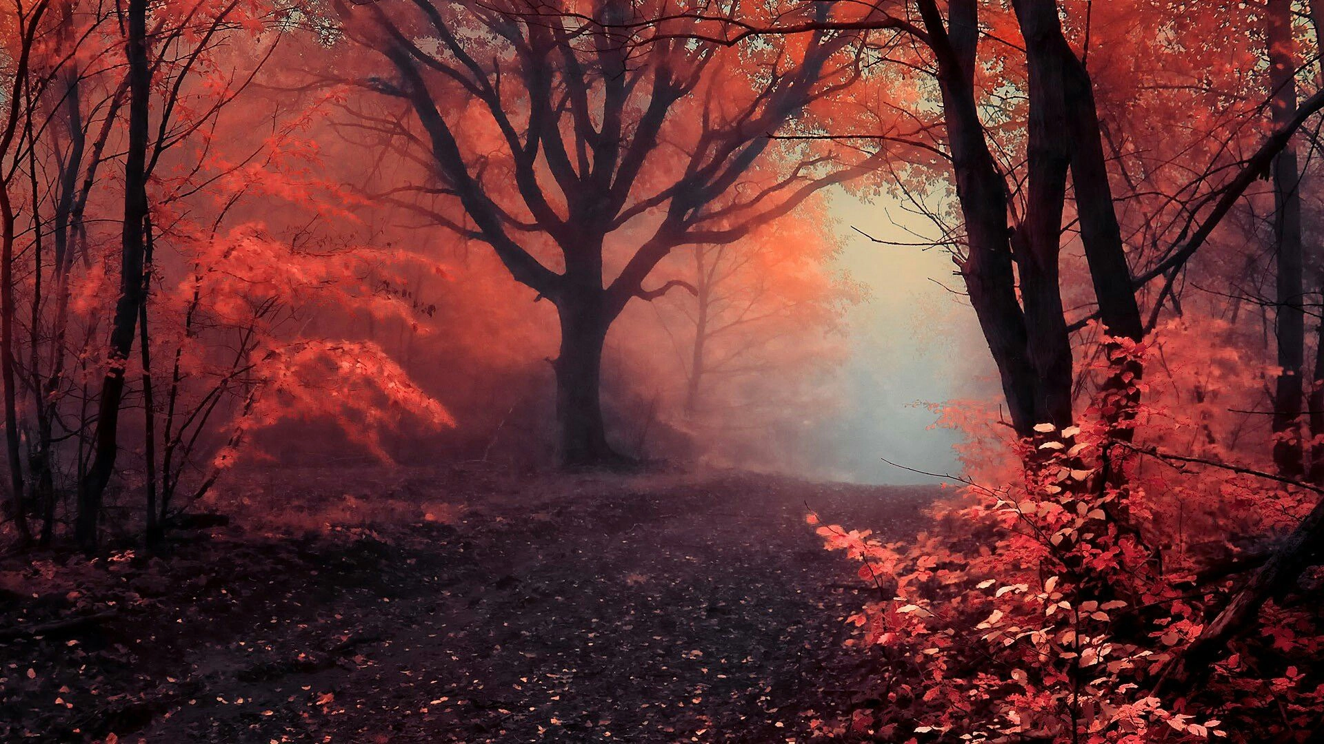 #nature_lover