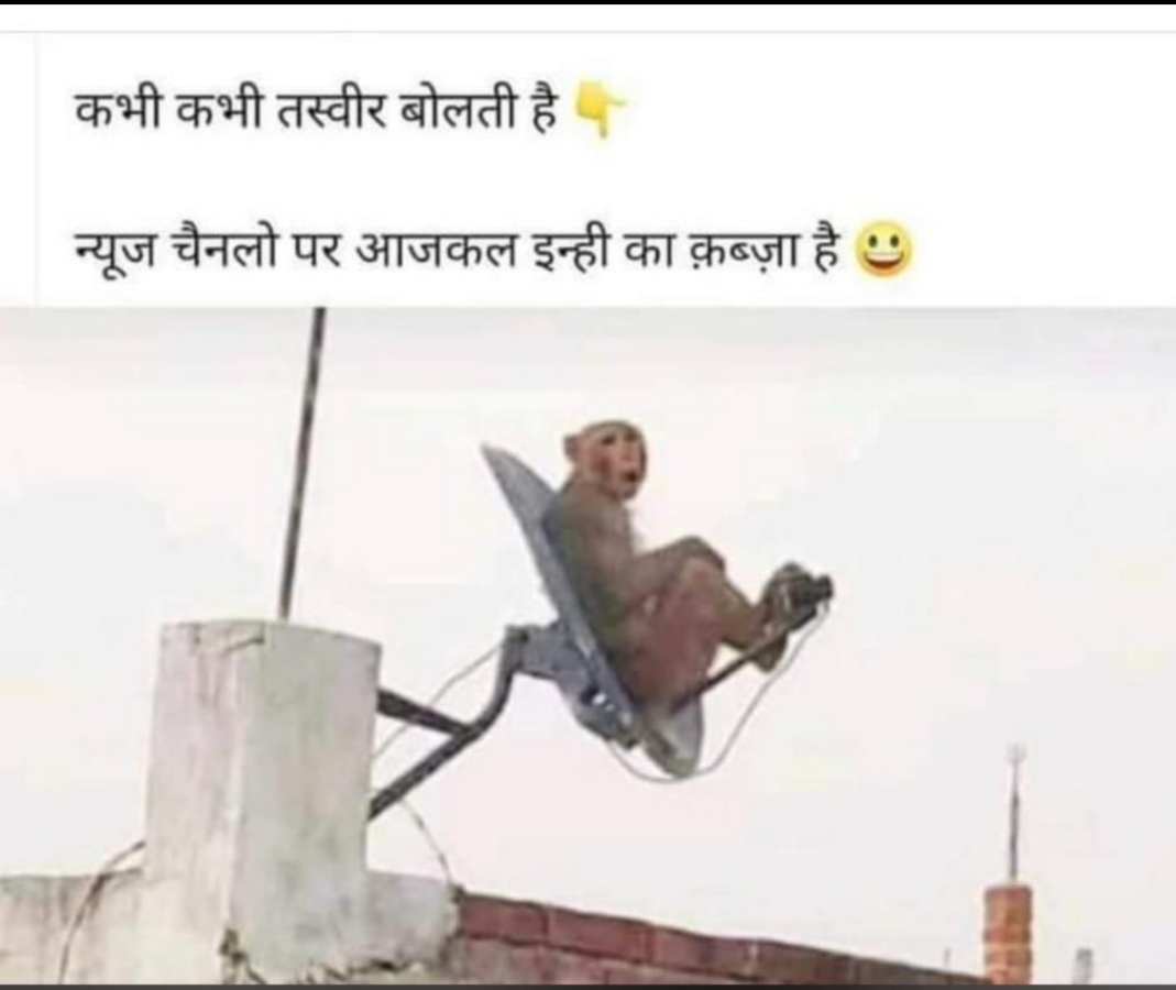 Ownmates Post
