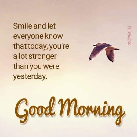 Happy Sunday!