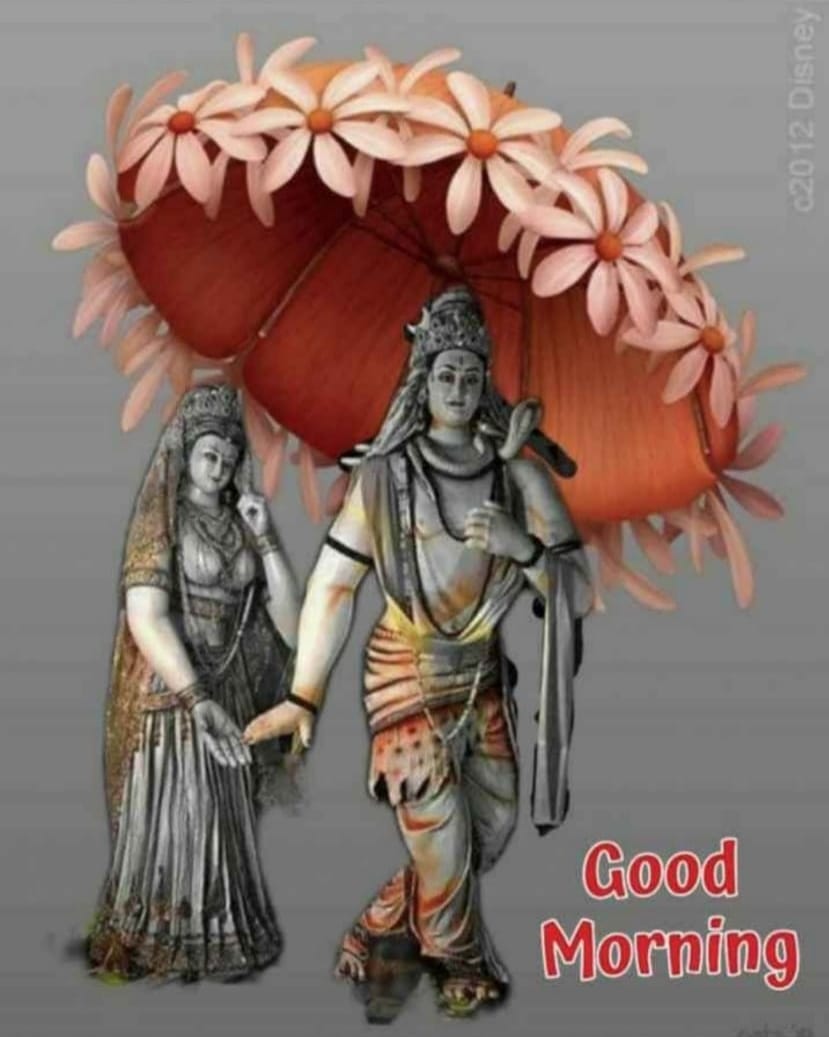 Good morning,!!!!