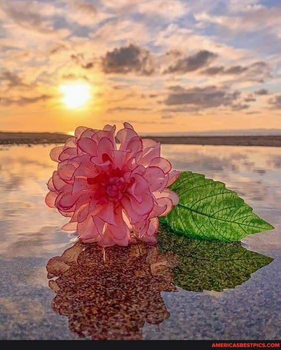 We have to accept our failures to make us realise and rectif