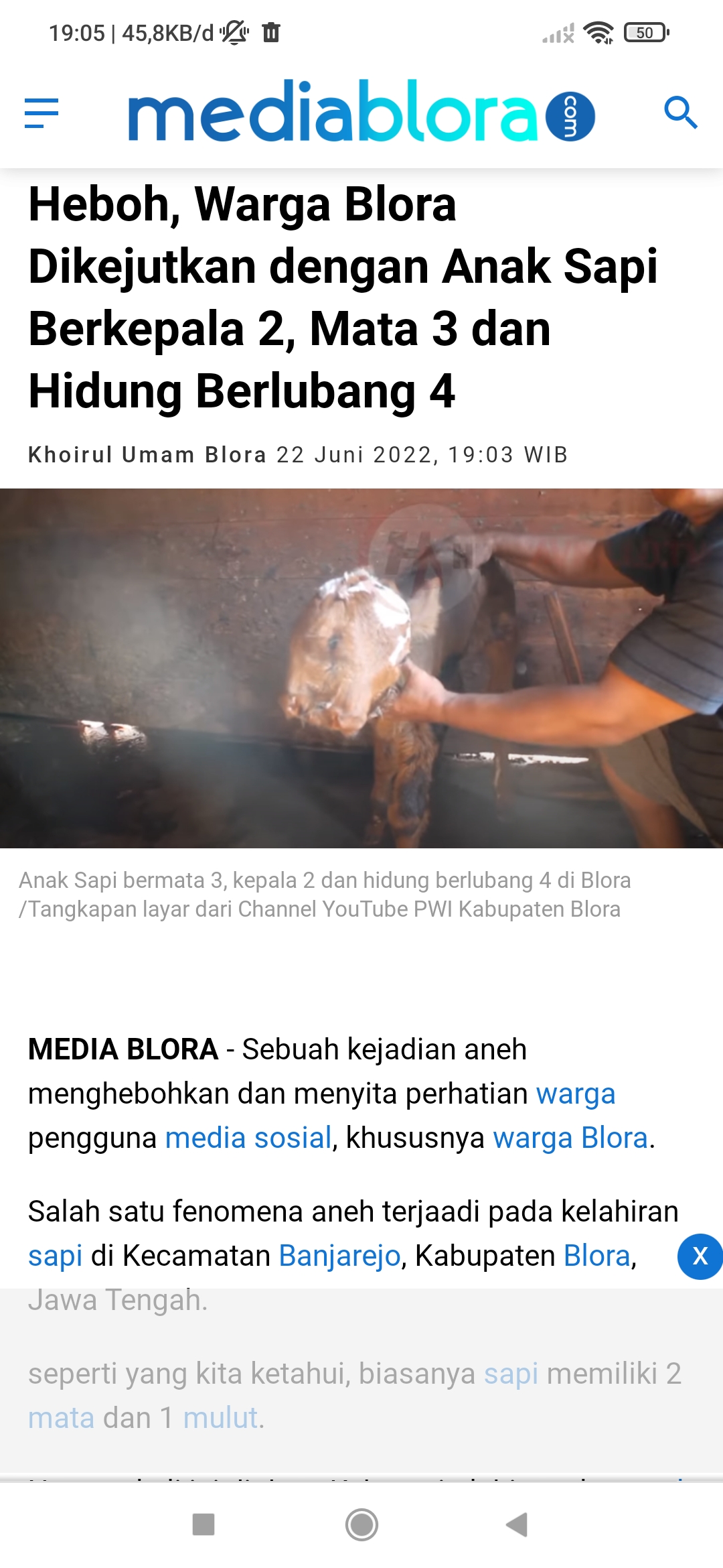 https://blora.pikiran-rakyat.com/blora/pr-2094808667/heboh-w