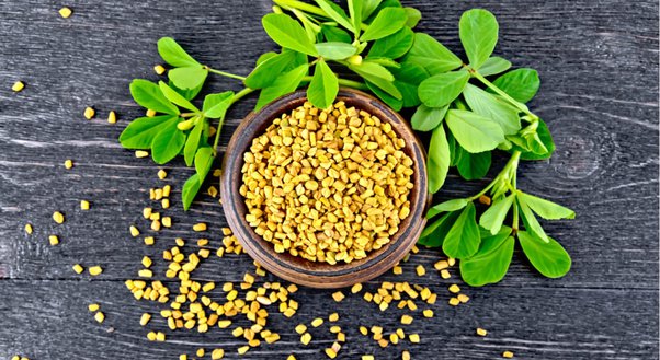 https://carebeautyco.com/fenugreek-and-starch-to-fatten-the-