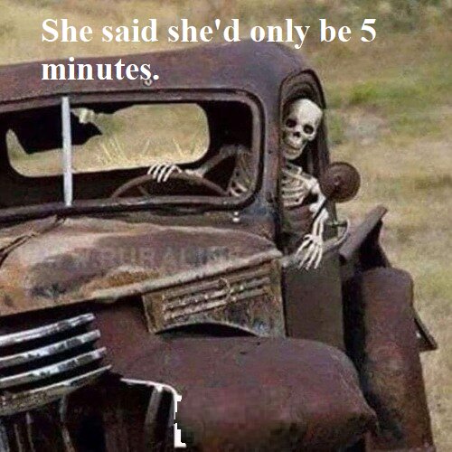 Driving Miss Daisy😃