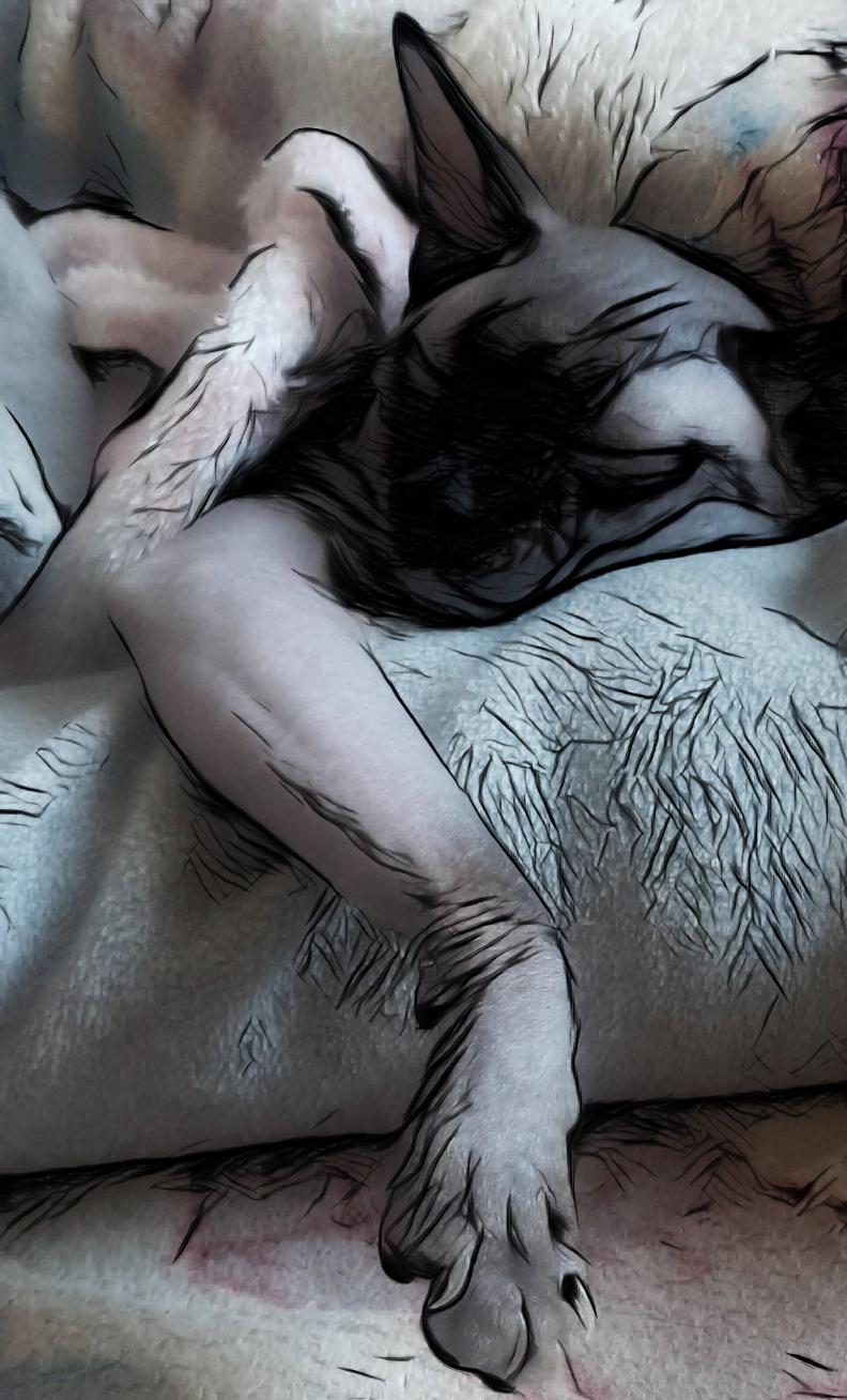 sweet dreams to everyone who goes to bed...😴😴😴