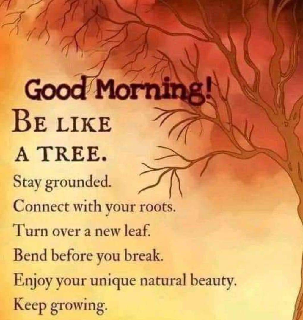 Good day!