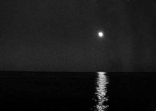 Poetry - Elusive Moon

 Poet - Jotsna Jari


 .

 You give m