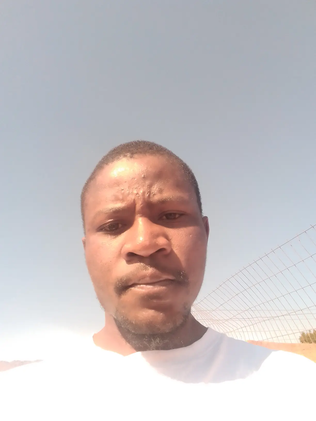 good afternoon