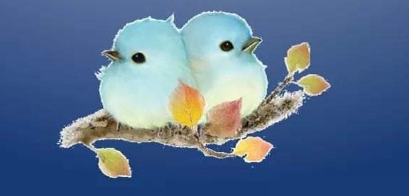Updated Cover Photo.