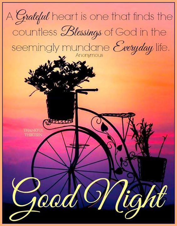 Good nite