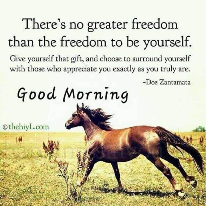 Good day!