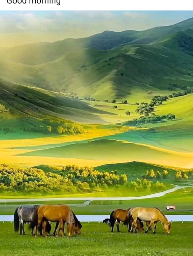 Wondering Area