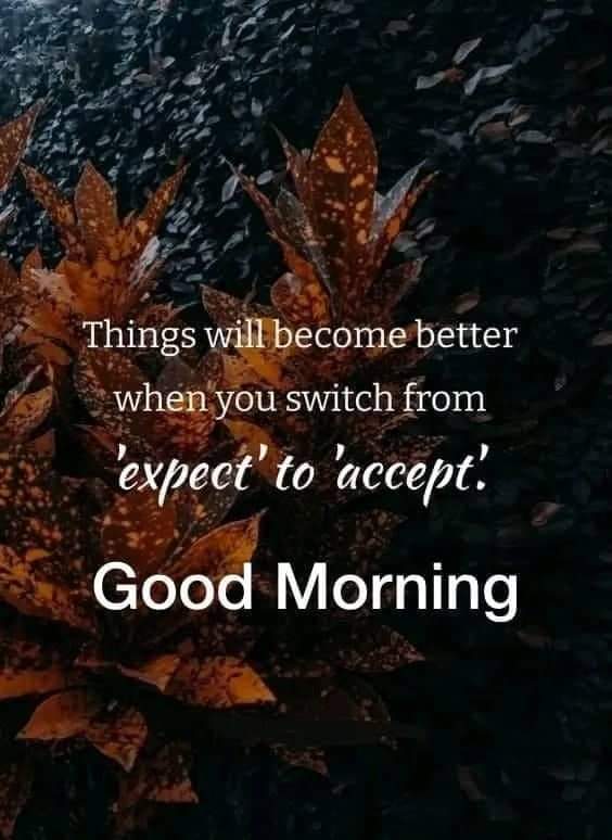 Happy Sunday!