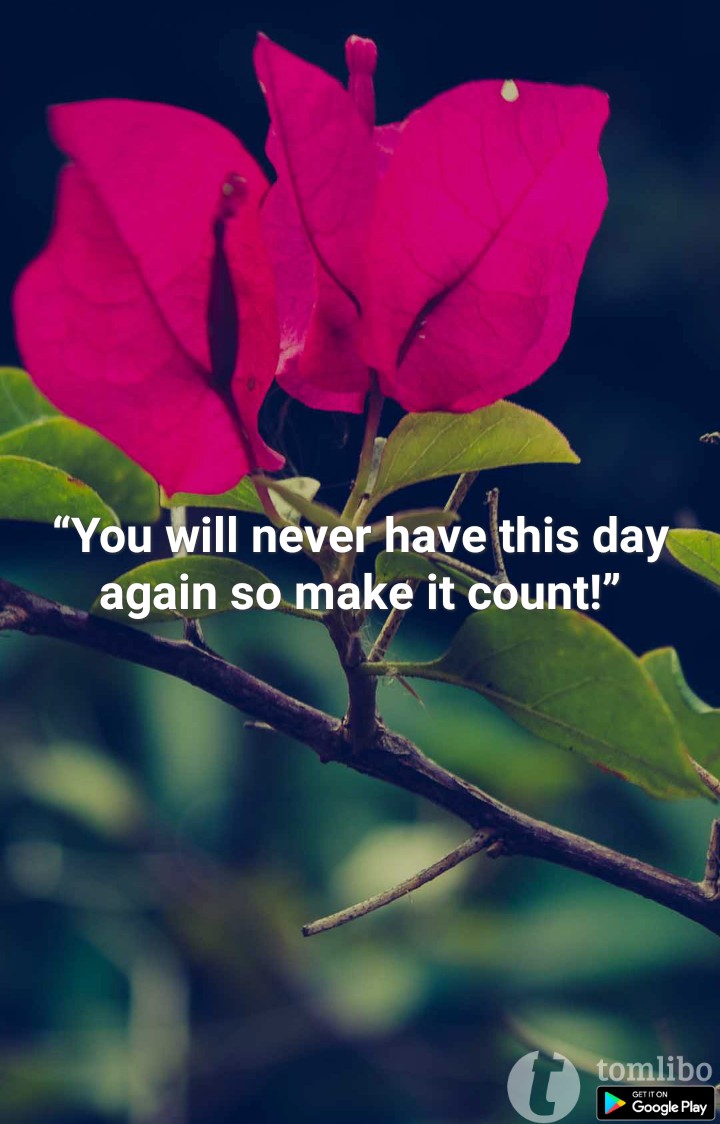 good morning, my lovely people