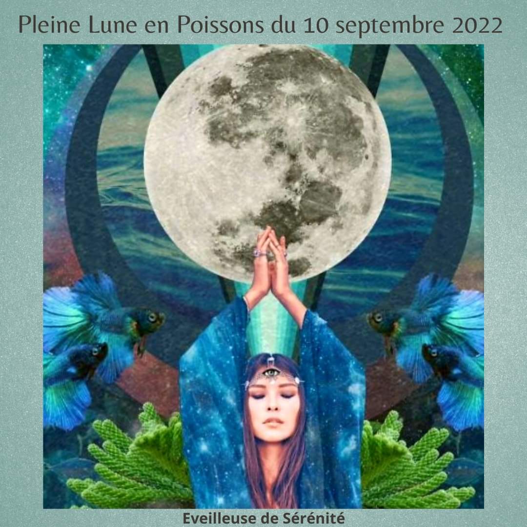 Je pratique le reiki médecine japonaise