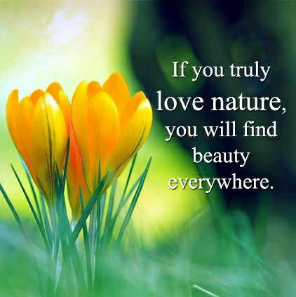 nature in...
LOVE