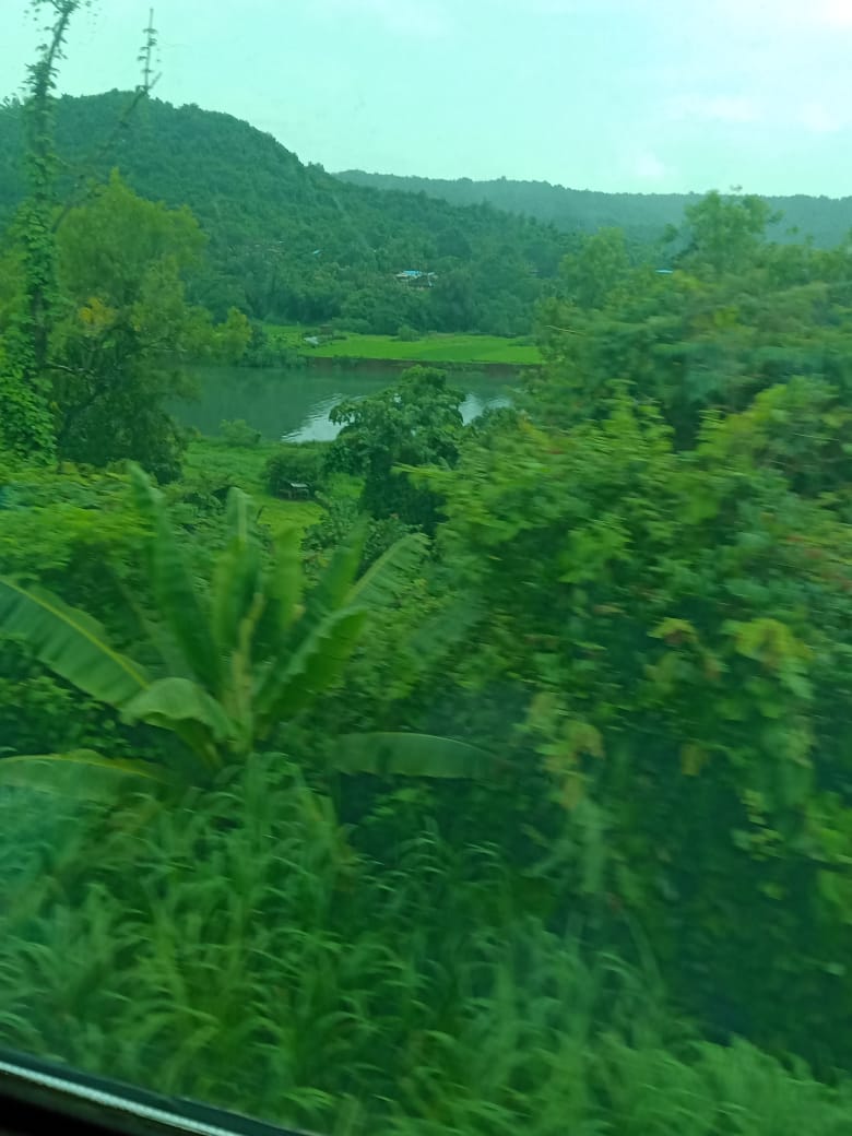#nature