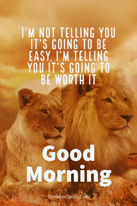 Have a nice day!