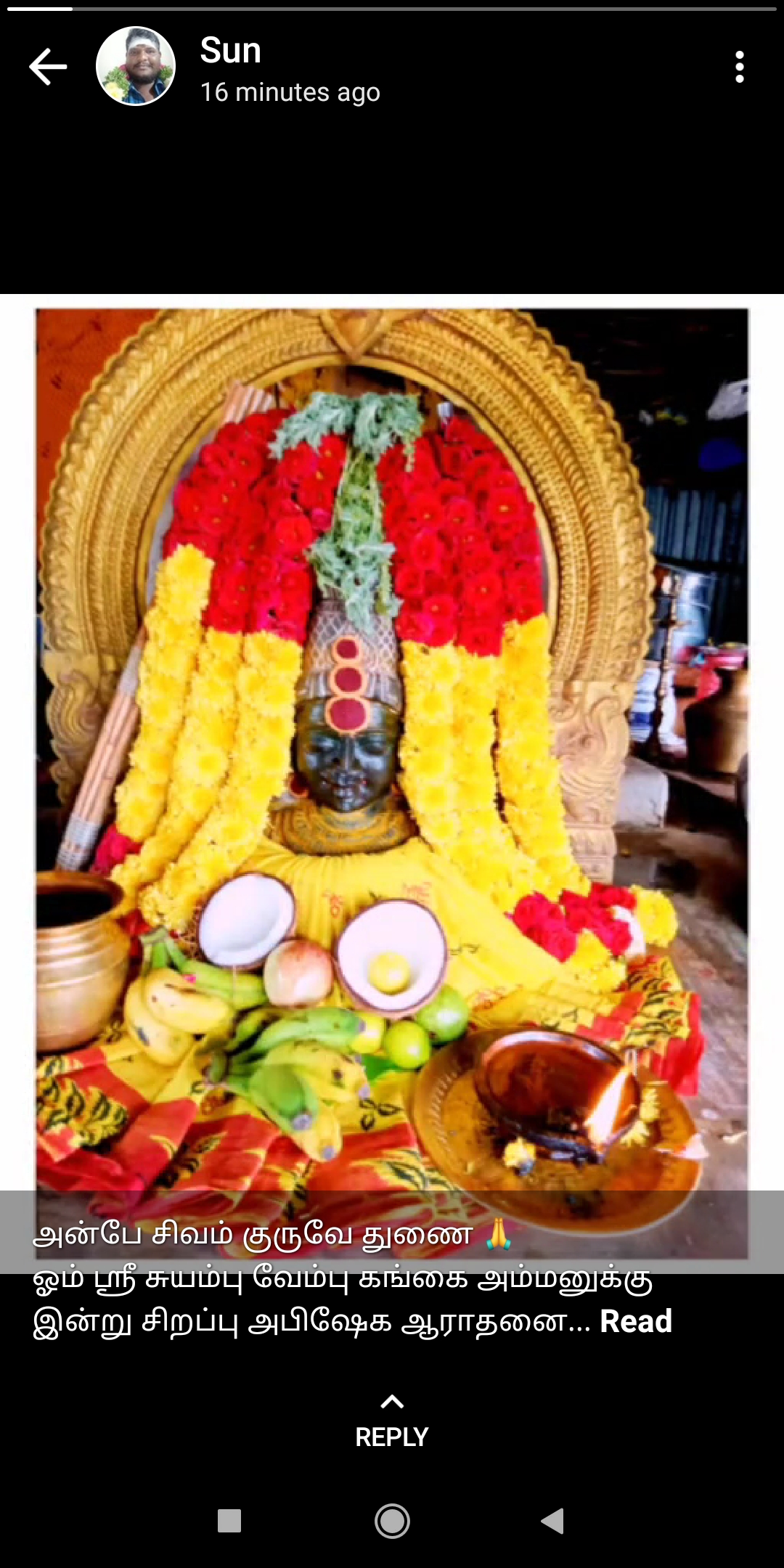 amma