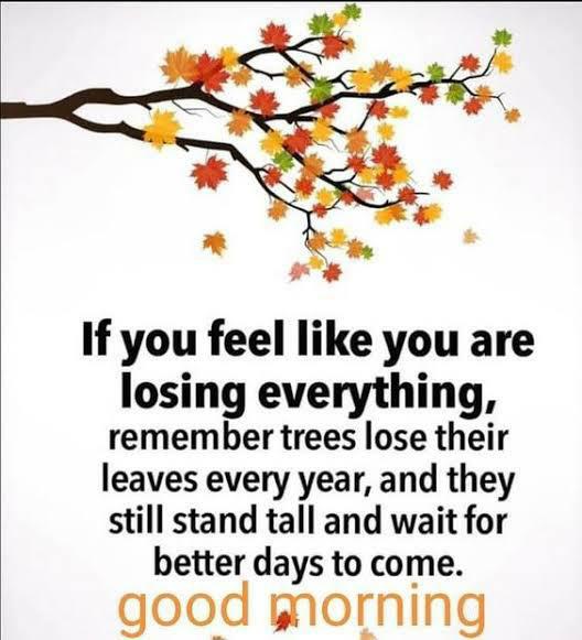 Good day!