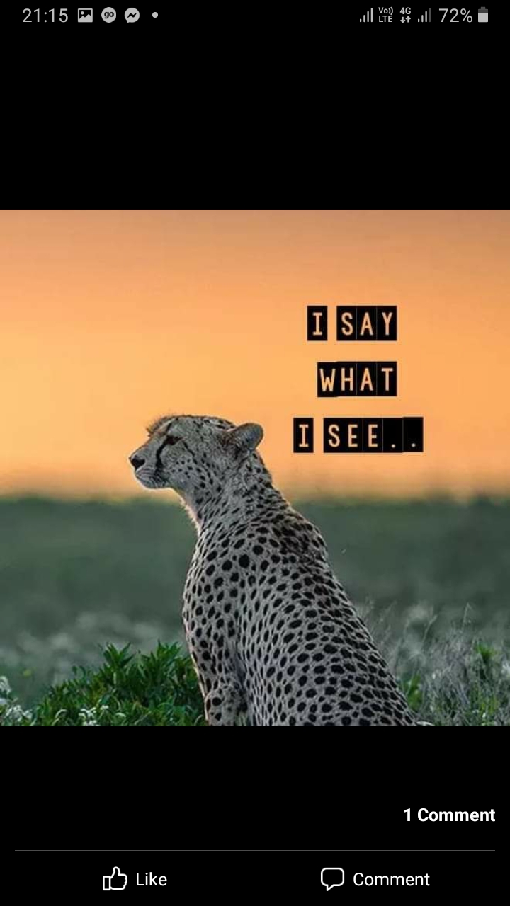 Ownmates Post