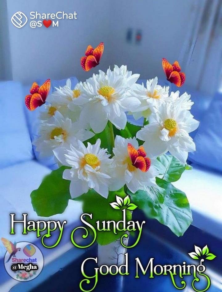 Good Morning
