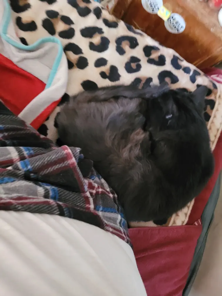 Sweepy head!