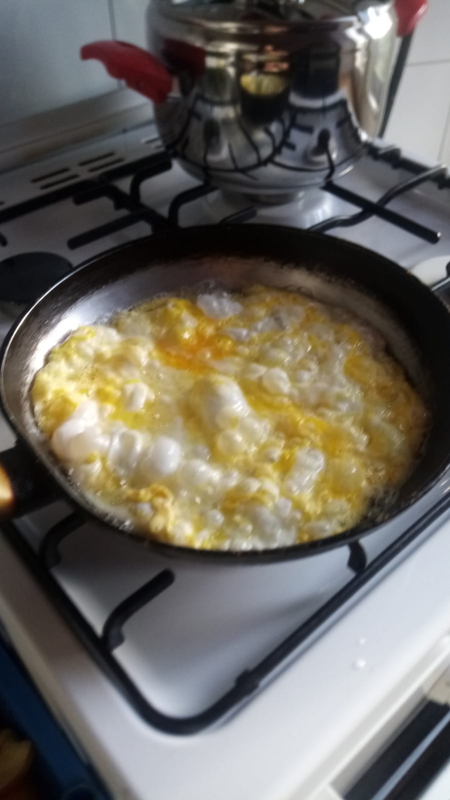 egg