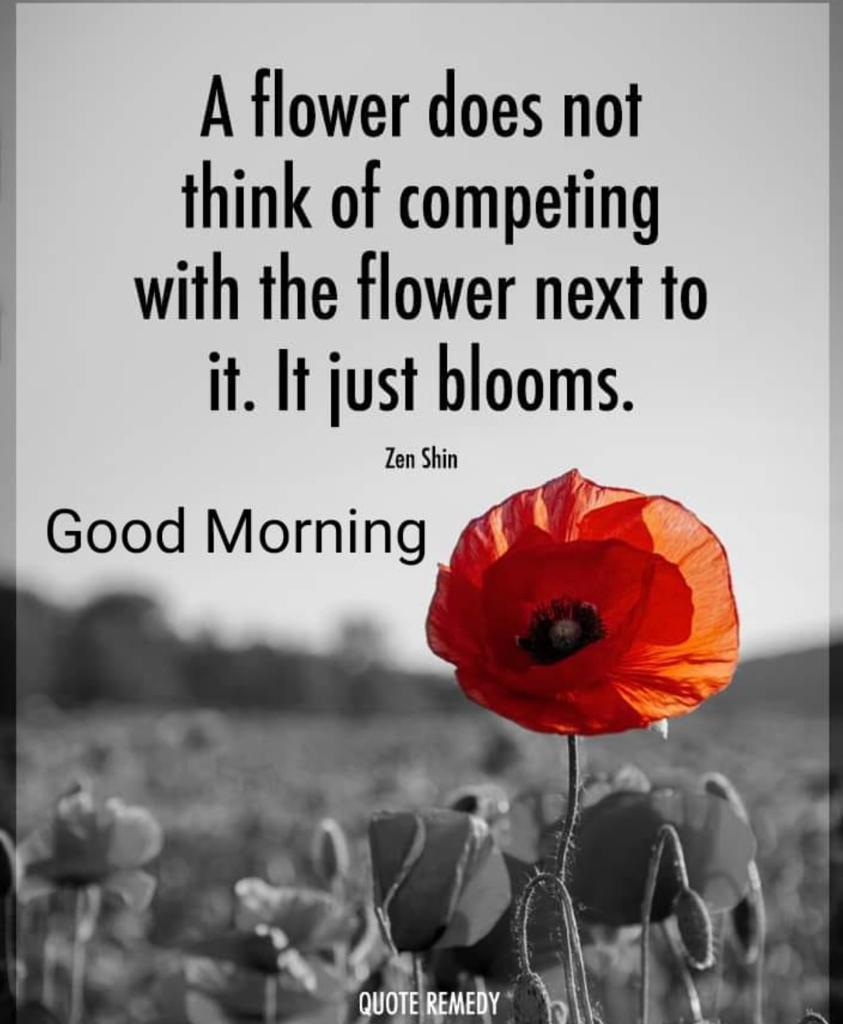Happy Sunday!