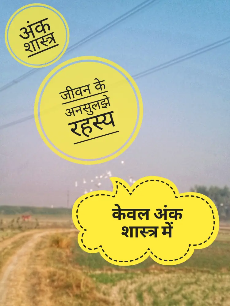 अंकशास्त्र विशेष 
numerology special