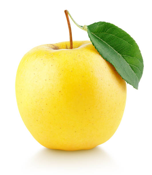 Alpha 🎨 created the apple 🍎 so who created the alphabets 🔤