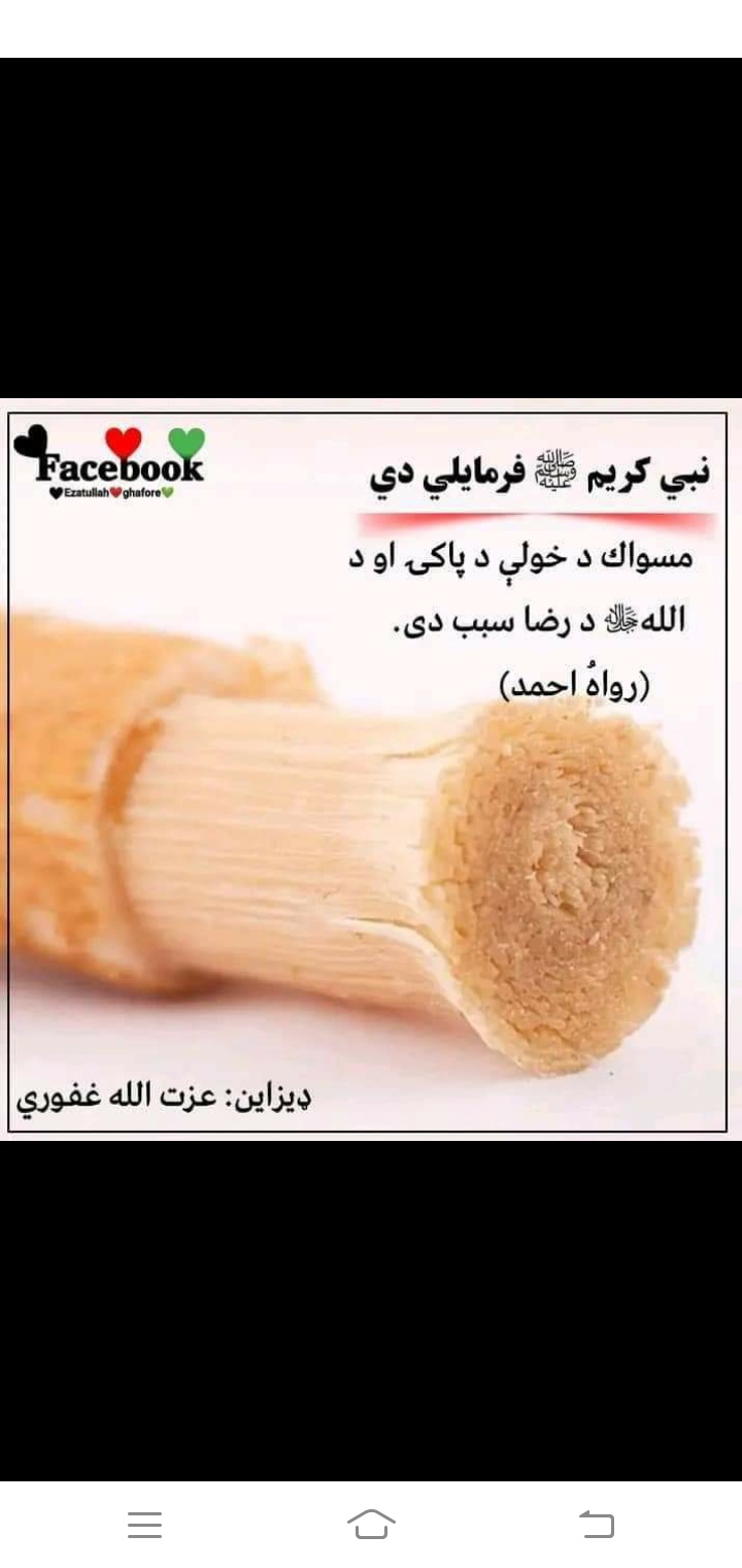 Ownmates Post