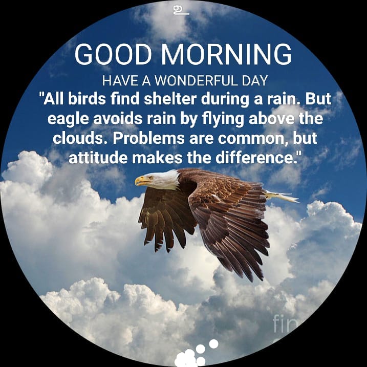 Fly high, friends!