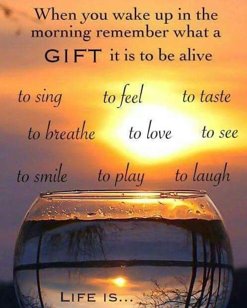 Happy Sunday 😊