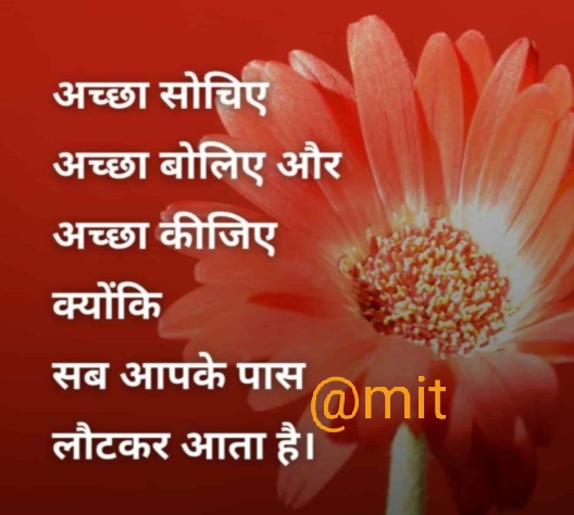 Ownmates Post