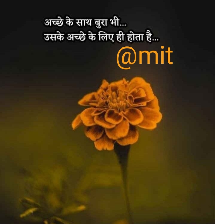 Ownmates Post