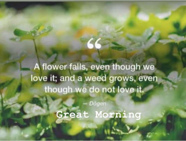 Have a nice day!