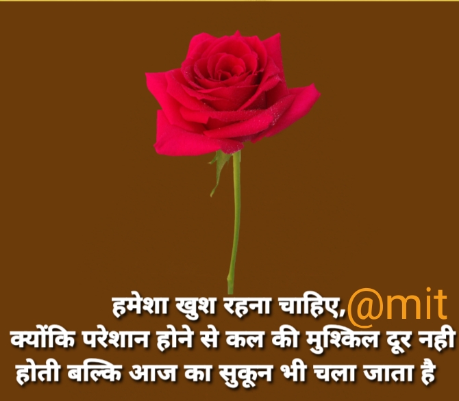 Ownmates Post