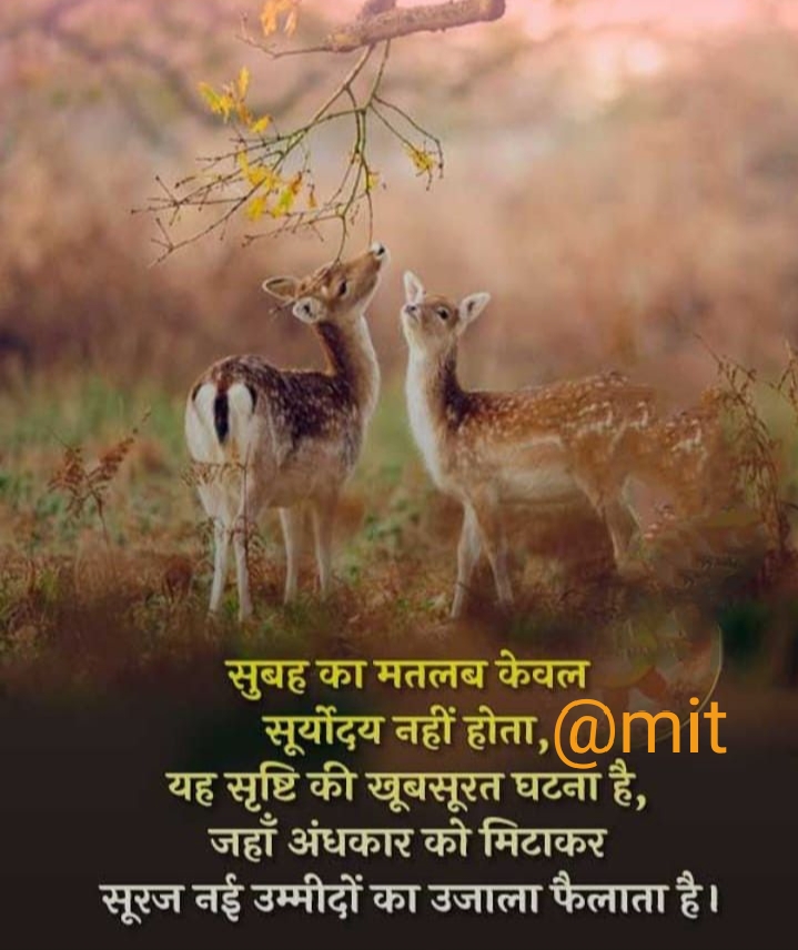 Ownmates Post