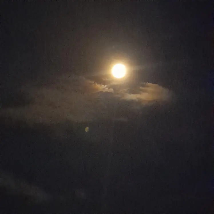 https://totalsetalight.blogspot.com/2023/01/mars.htmlhttps:/